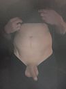 even tonen wat er in de broek, foto 2320x3088, 3 reacties, 9 stemmen