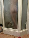 ff hondje wassen, foto 768x1024, 14 reacties, 46 stemmen