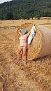 fietstocht, foto 1440x2560, 9 reacties, 78 stemmen