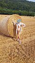 fietstocht, foto 1440x2560, 12 reacties, 59 stemmen
