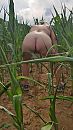 fietstocht, foto 1440x2560, 26 reacties, 90 stemmen