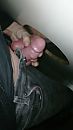frotting fun, foto 756x1344, 0 reacties, 7 stemmen