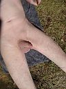 galderse meren, foto 3000x4000, 1 reacties, 4 stemmen