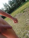 galderse meren, foto 3000x4000, 2 reacties, 9 stemmen