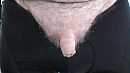 garnaal, foto 640x360, 2 reacties, 3 stemmen