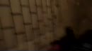 geil zo, film 00:00:00, 2 reacties, 6 stemmen