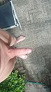 geil, foto 533x947, 5 reacties, 18 stemmen