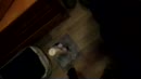 geil, film 00:00:00, 5 reacties, 5 stemmen