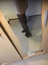 goedemorgen, foto 3000x4000, 2 reacties, 2 stemmen