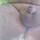 goedemorgen, foto 2448x2448, 5 reacties, 10 stemmen