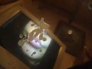 goedkope kunst., foto 640x480, 2 reacties, 2 stemmen