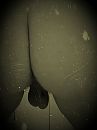 goeie morgen, foto 3000x4000, 4 reacties, 4 stemmen