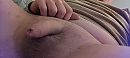 half stijf, foto 4000x1805, 2 reacties, 2 stemmen