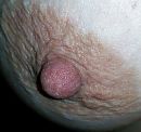 hard tepeltje, foto 377x355, 4 reacties, 12 stemmen