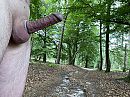 heerlijk, foto 4000x3000, 4 reacties, 17 stemmen