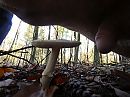 herfst, foto 4000x3000, 7 reacties, 21 stemmen
