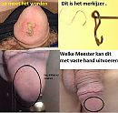 herhalen is niet zichtbaar mee, foto 690x663, 14 reacties, 6 stemmen