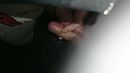 holding them tight, foto 1344x756, 0 reacties, 4 stemmen