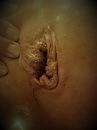 hoognodig, foto 2320x3088, 8 reacties, 22 stemmen