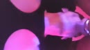 i'm loving it :p, film 00:00:00, 27 reacties, 65 stemmen