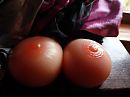 iemand intrese, foto 4000x3000, 2 reacties, 3 stemmen