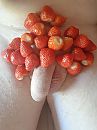iemand zin, foto 2448x3264, 7 reacties, 14 stemmen