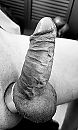 iets beter nog scheren, foto 557x927, 10 reacties, 19 stemmen