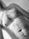 ik, foto 720x960, 3 reacties, 7 stemmen