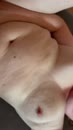 in slow motion, film 00:00:15, 13 reacties, 88 stemmen