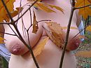 in de herfst, foto 640x480, 6 reacties, 25 stemmen