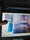 in opdracht, foto 960x1280, 2 reacties, 4 stemmen
