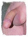 ja slap, foto 1889x2526, 6 reacties, 16 stemmen