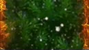 kerst in Flevoland, film 00:00:00, 3 reacties, 22 stemmen