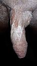klaar om te scheren, foto 2250x4000, 2 reacties, 3 stemmen