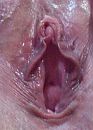 kut, foto 283x392, 4 reacties, 13 stemmen
