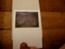 lekker spuiten, film 00:00:00, 9 reacties, 8 stemmen
