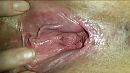 lekker kutje  mmm, foto 1000x563, 10 reacties, 29 stemmen