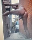 lekker wa geilen, foto 1445x1759, 3 reacties, 28 stemmen