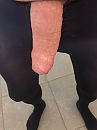 lekker warm, foto 1512x2016, 33 reacties, 46 stemmen