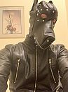 leren honden masker, foto 2316x3088, 3 reacties, 6 stemmen
