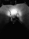 let s get hard, foto 2316x3088, 0 reacties, 1 stemmen