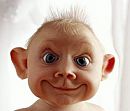 leuk he, foto 427x365, 3 reacties, 1 stemmen