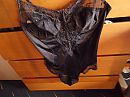 men lingerie voor u??, foto 4000x3000, 1 reacties, 8 stemmen