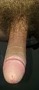 mijn fluit, foto 1063x2385, 2 reacties, 6 stemmen