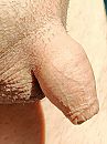 mmm, foto 1080x1432, 7 reacties, 10 stemmen