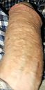 mmm, foto 444x888, 1 reacties, 0 stemmen