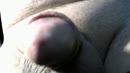 mmmmmmm, film 00:00:03, 4 reacties, 22 stemmen