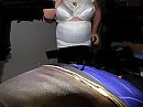 mooi wit retro, foto 550x412, 3 reacties, 9 stemmen