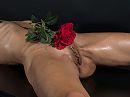 mooie roos, foto 4000x3000, 3 reacties, 27 stemmen