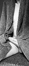 morning glory, foto 608x1348, 1 reacties, 6 stemmen